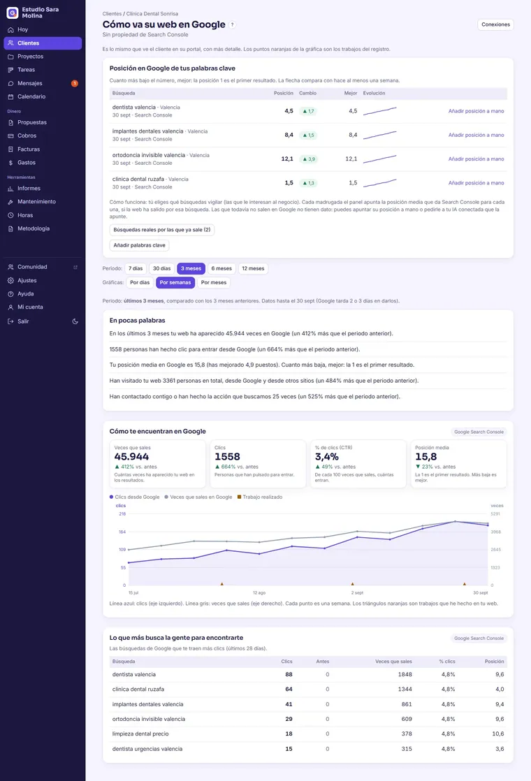 SEO y visitas: Los datos de Google de cada cliente, explicados.
