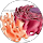Juan Alvarez profile picture